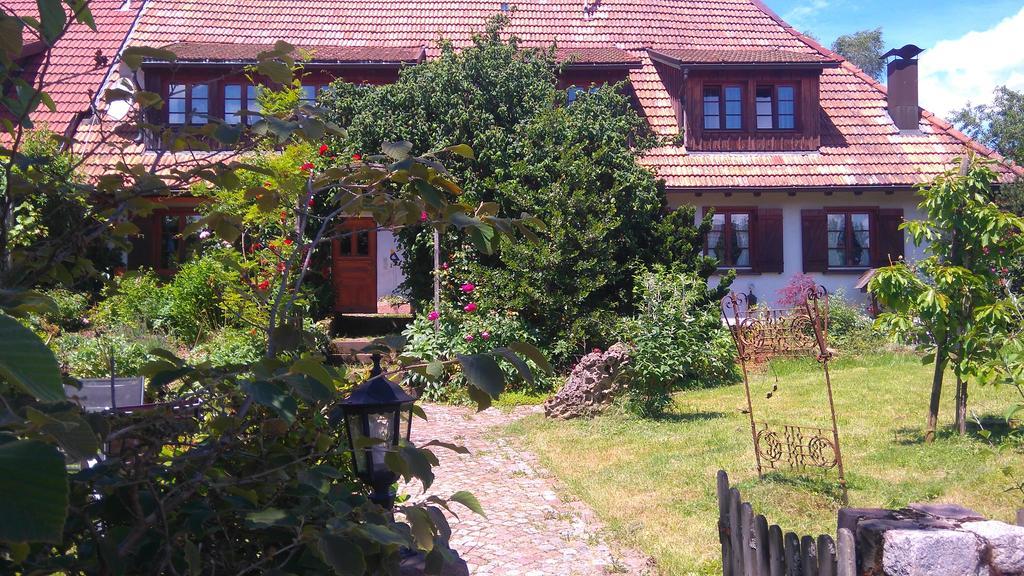 Apartment Schweizerblick *